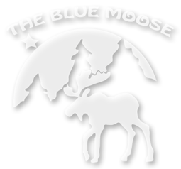 The Blue Moose Garden and Gift shop in Grand Marais, MN